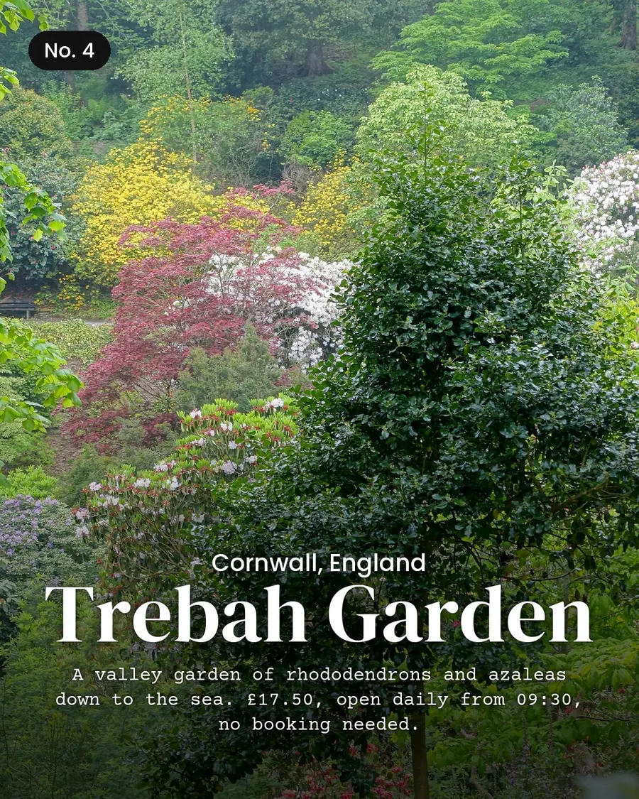 7 spring windows in Britain and Ireland you book in winter, slide 6 of 10