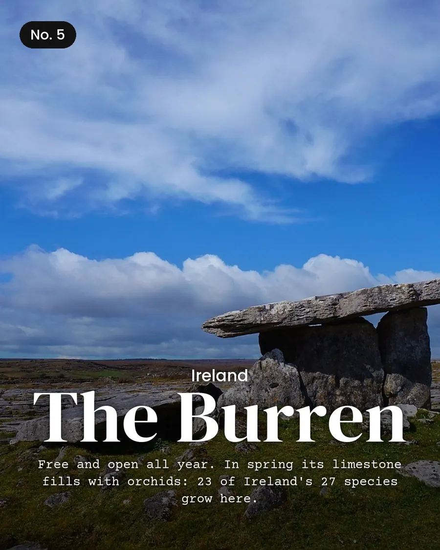 7 spring windows in Britain and Ireland you book in winter, slide 7 of 10