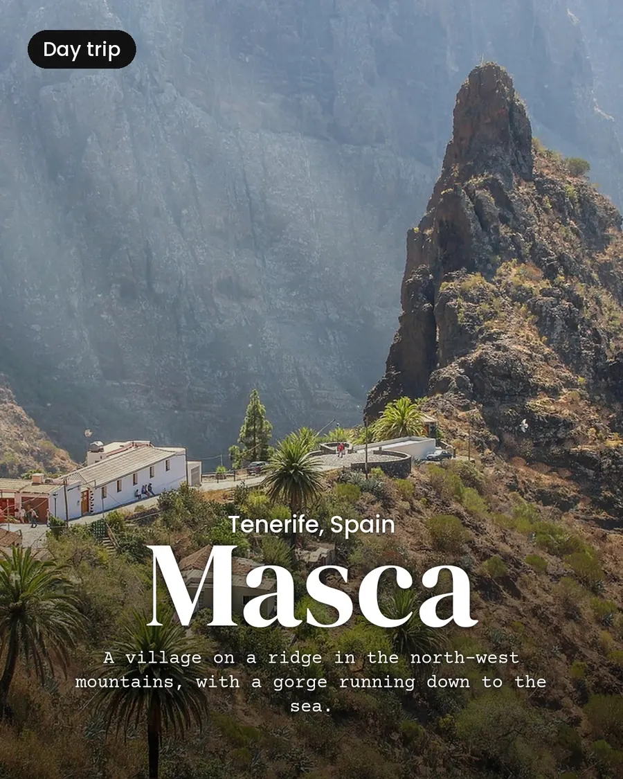 Tenerife in January, slide 6 of 9