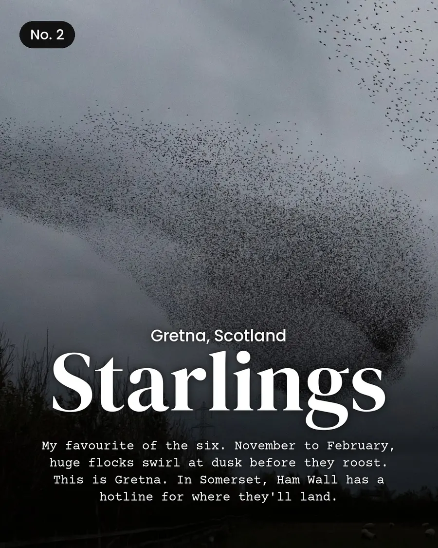 6 winter dates in Britain and Ireland you can't move, slide 4 of 9